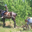 agricultura 2