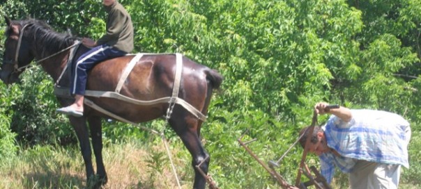 agricultura 2