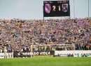 poli timisoara poli timisoara