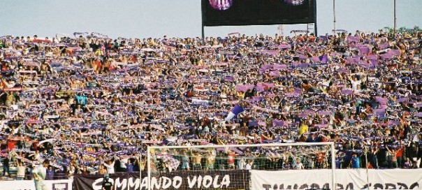 poli timisoara