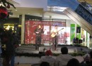 Alba Iarna 2011