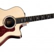 Taylor 816