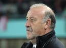del Bosque del Bosque