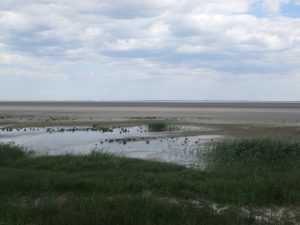 Lacul Nuntasi